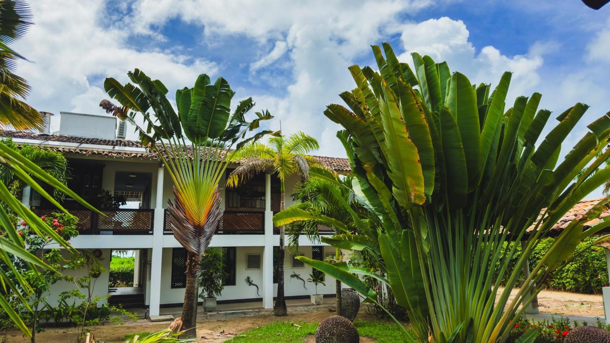Casa Acayu Hotell São Miguel dos Milagres Exteriör bild