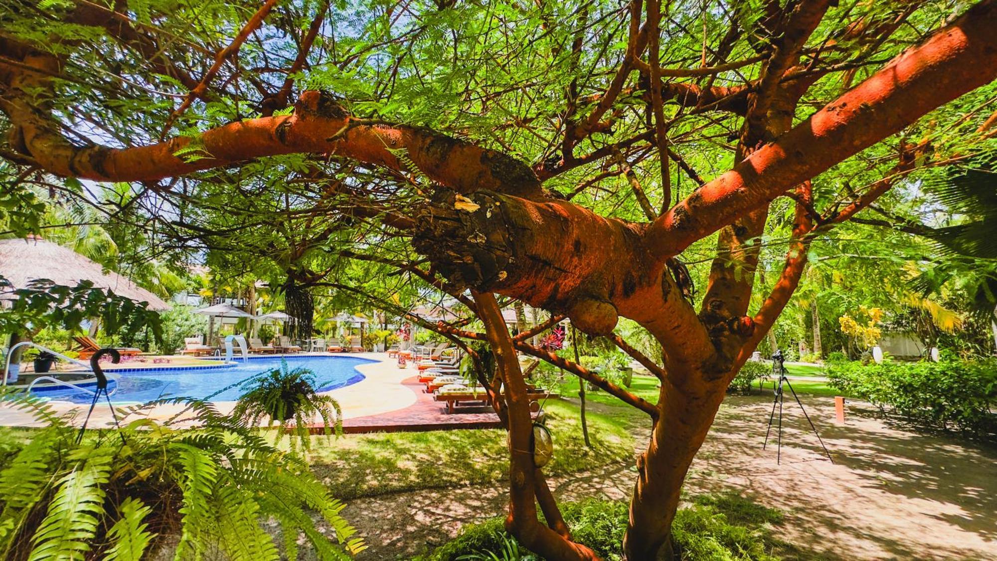Casa Acayu Hotell São Miguel dos Milagres Exteriör bild